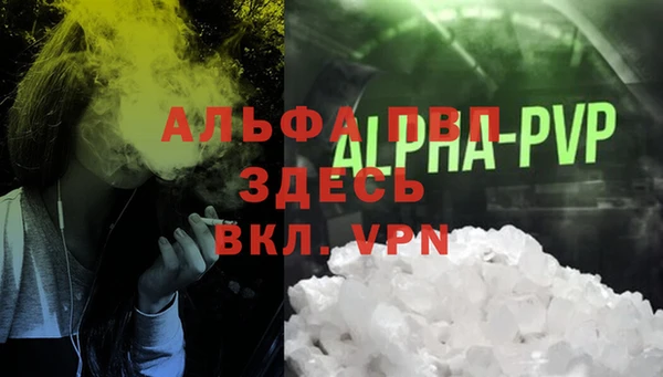 молекула духа Верхний Тагил