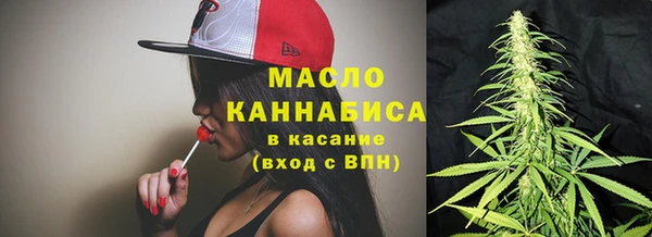 молекула духа Верхний Тагил
